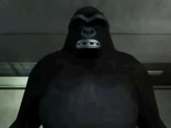 Silverback gorilla fucking a helpless beastie gal